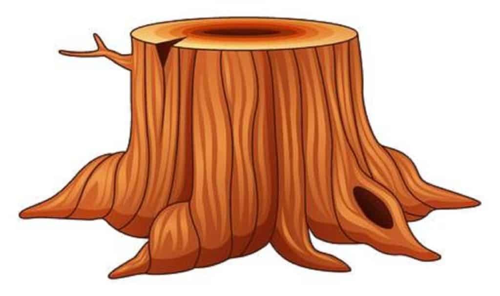 cartoon stump