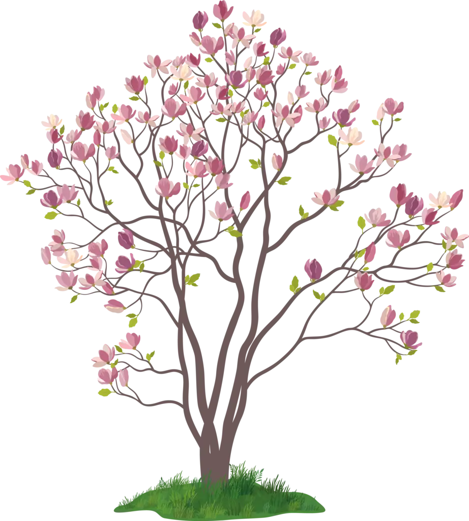 sweetbay magnolia