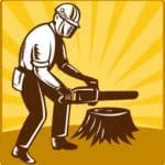 stump grinding