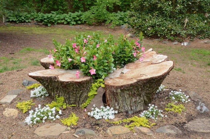 tree stump planter idea