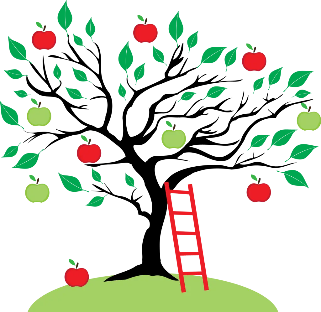 When Should You Prune Your Apple Trees?