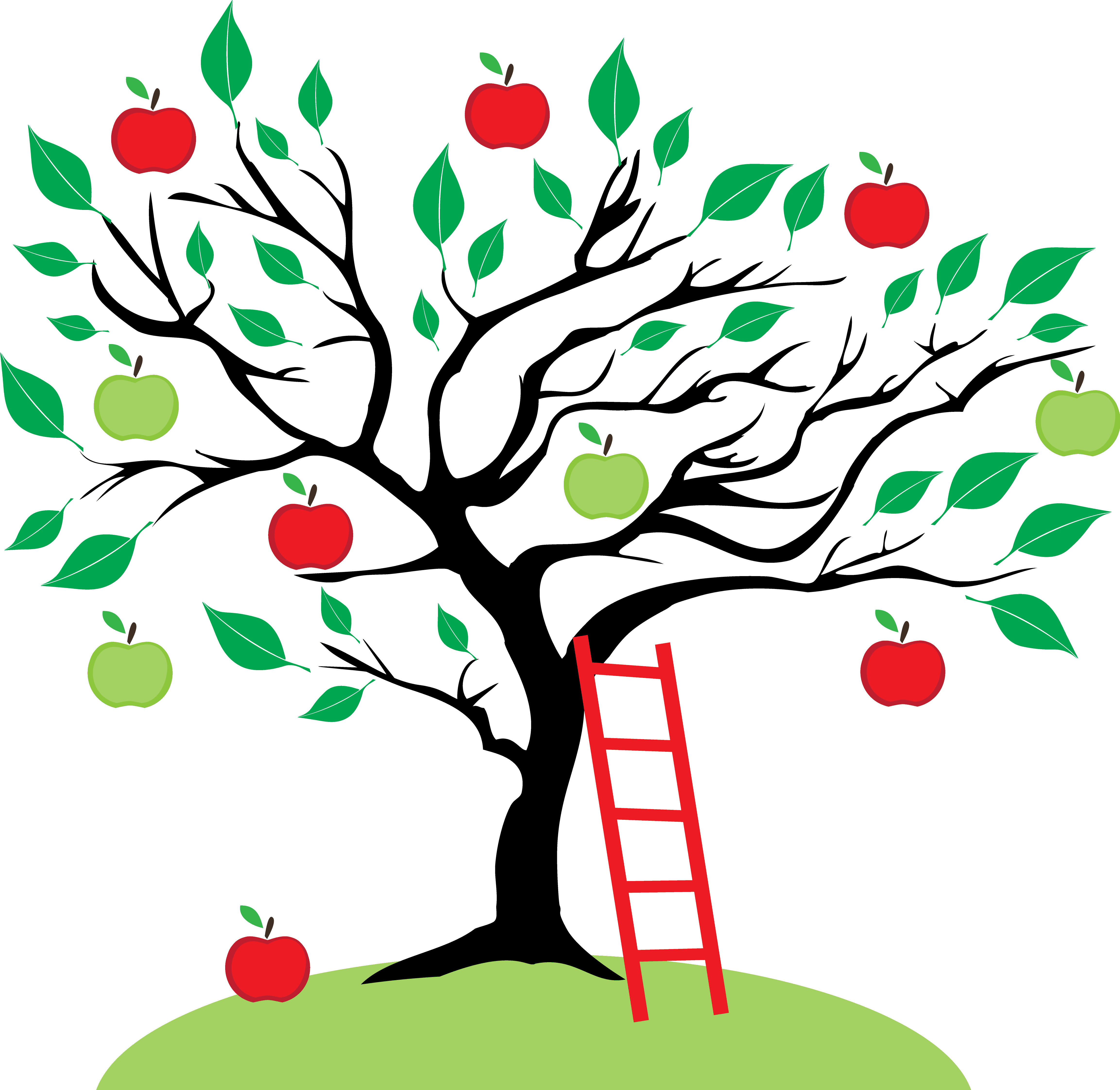 When Should You Prune Your Apple Trees? - StumpBustersLLC