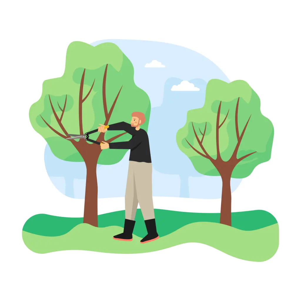 Quick And Easy Guide To Pruning Trees