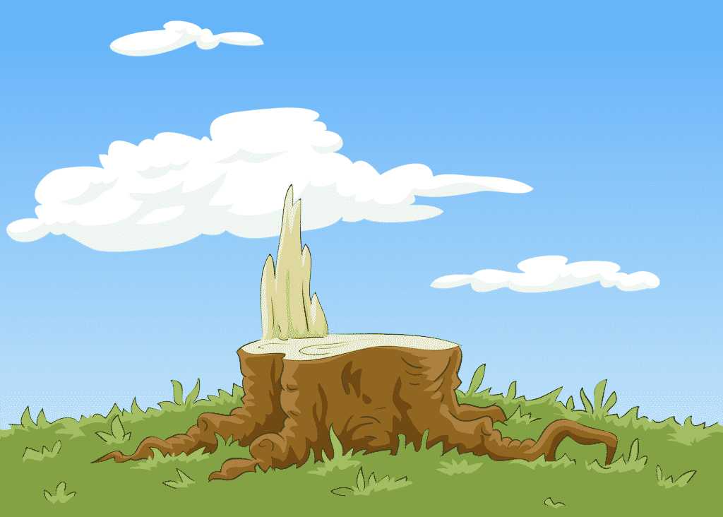 TREE STUMPS : DANGER IN YOUR YARD 1 cartton stump and clouds