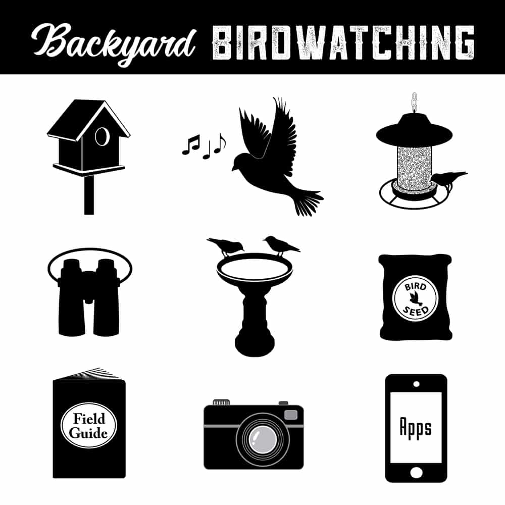 birdwatching checklist