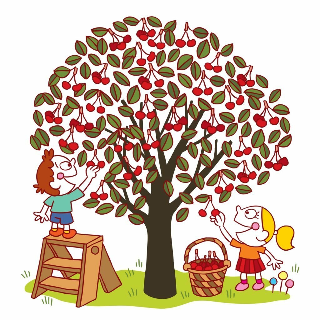 DIY Cherry Tree Prune