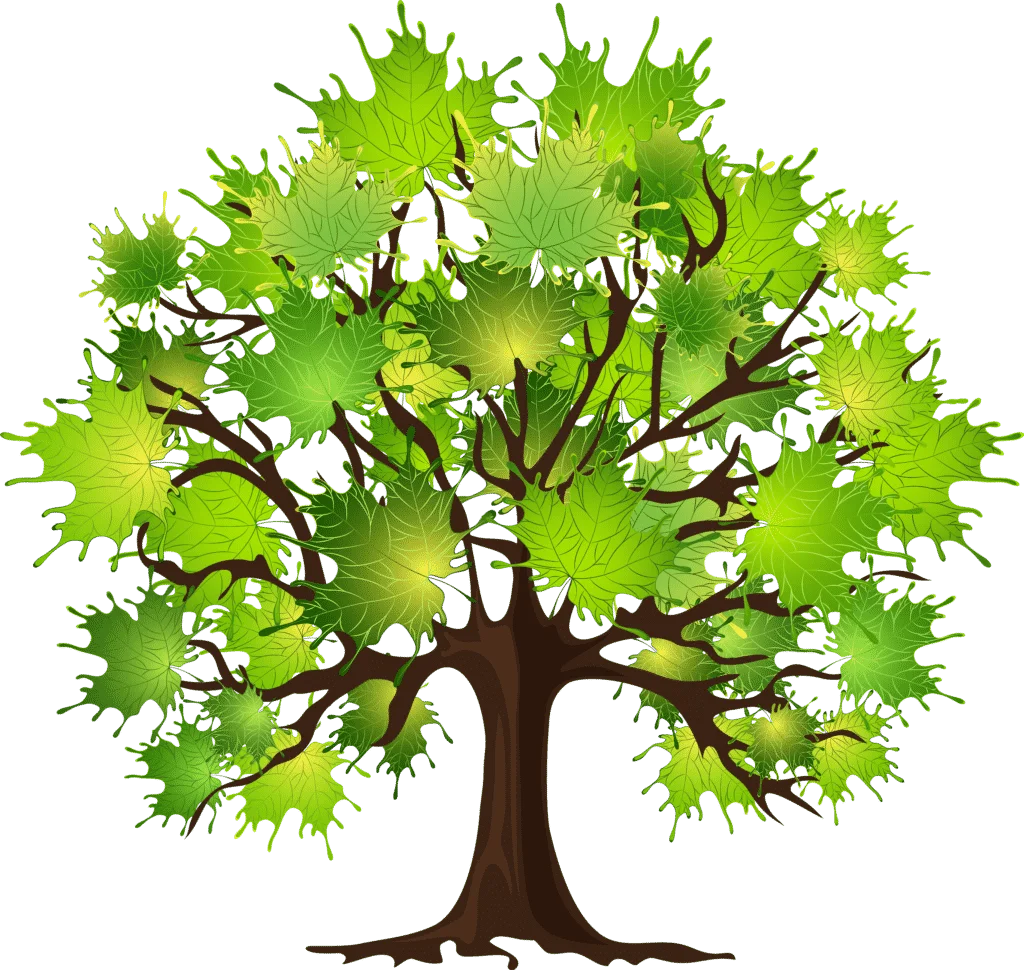 How to Prune a Maple Tree 1 how to prune a maple tree