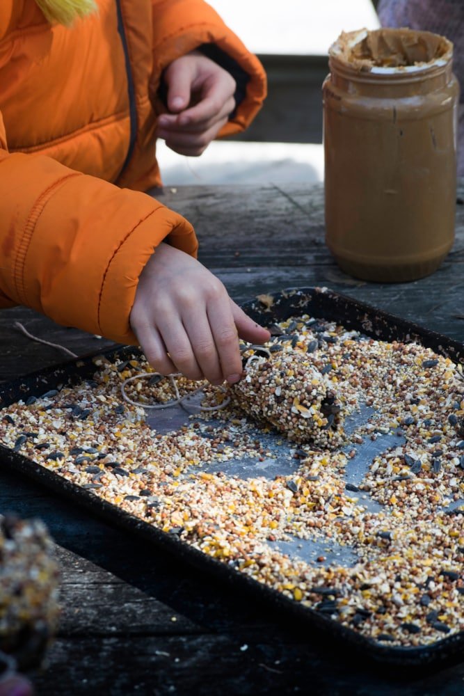 making a birdseed tree