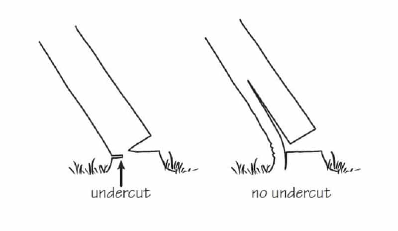 undercut vs no undercut