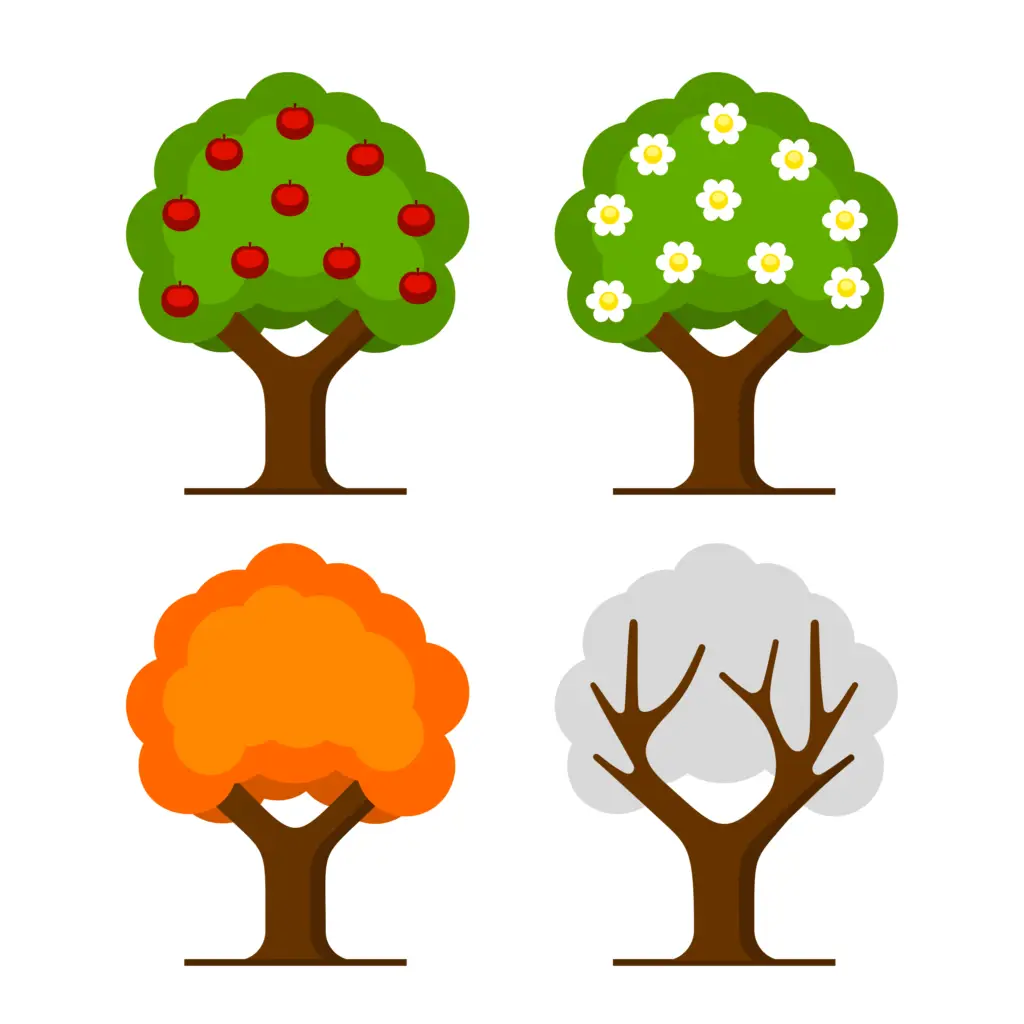 apple tree seasons