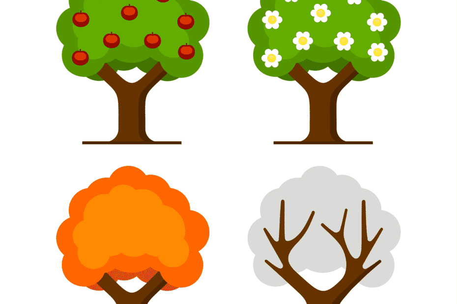 apple tree seasons