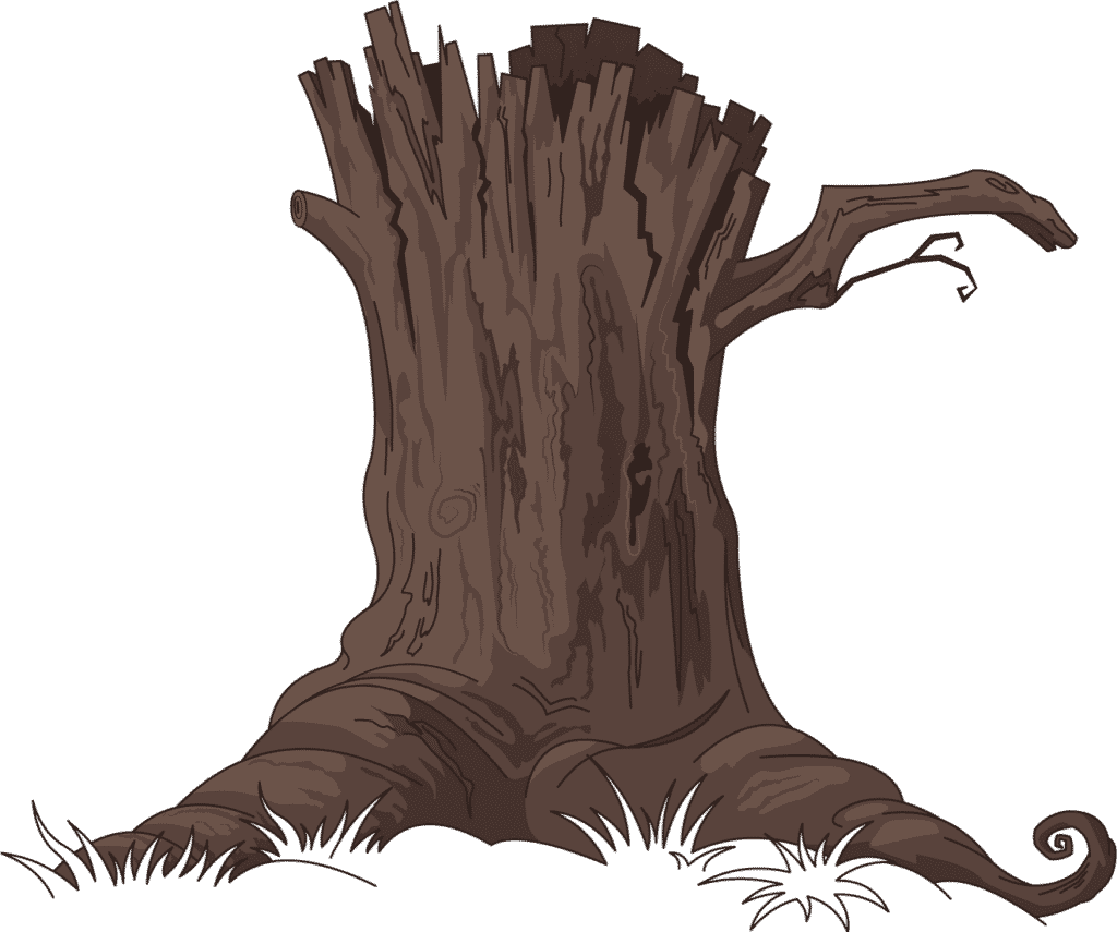 Creative Ways to Use a Large Tree Stump 1 old ugly stump