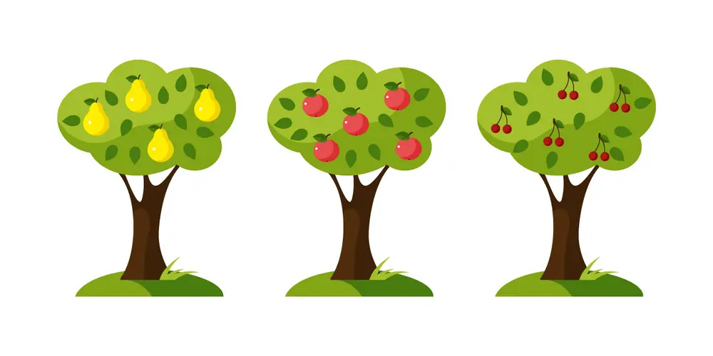when to trim fruit trees