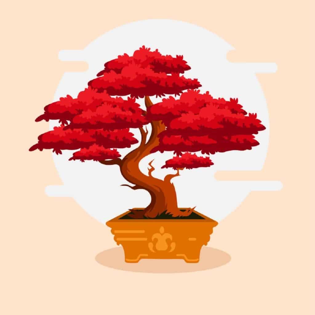 red bonsai drawing