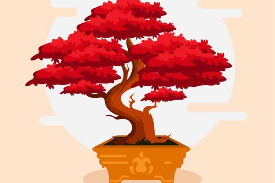 red bonsai drawing