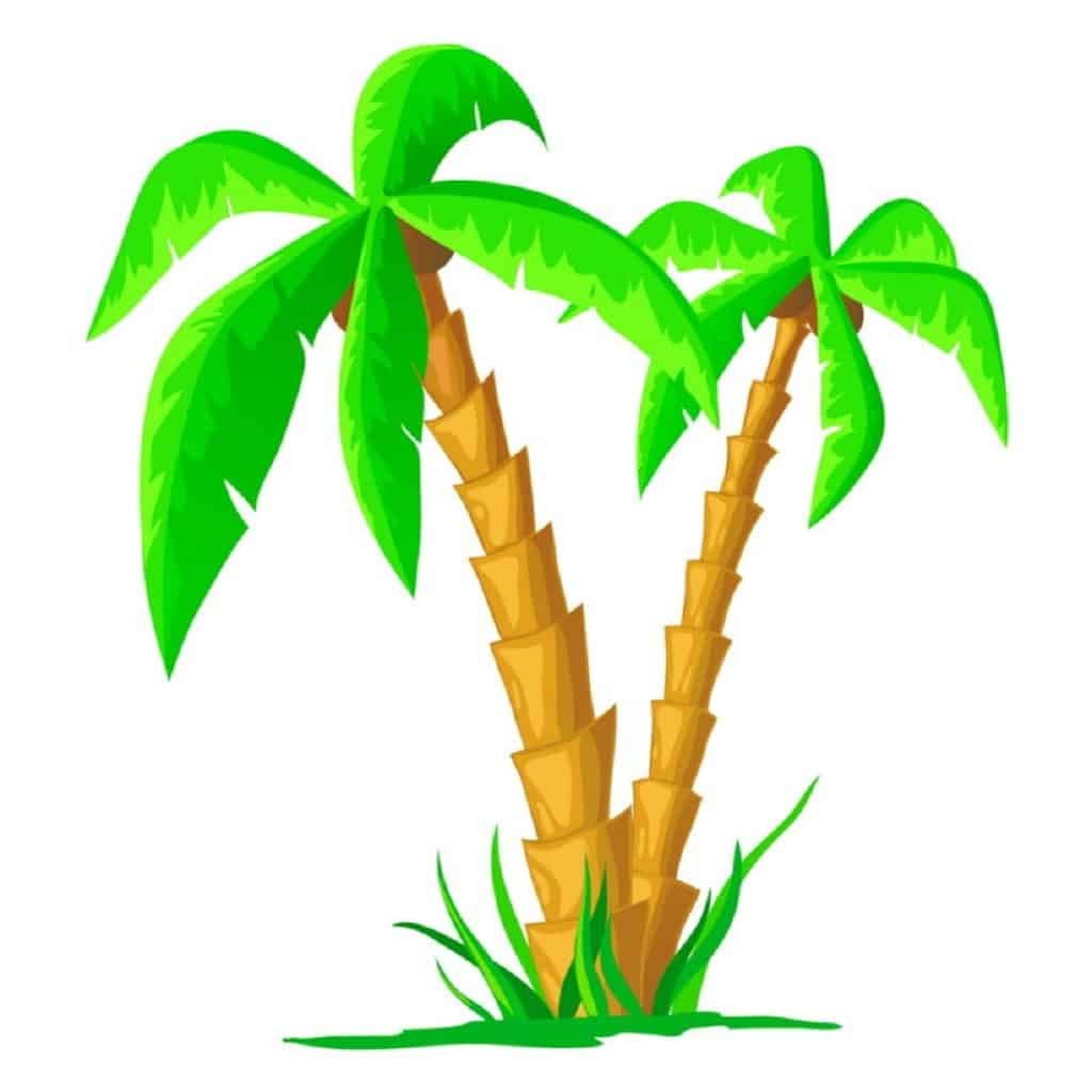 Top 5 Most Useful Trees 1 cartoon coconut trees
