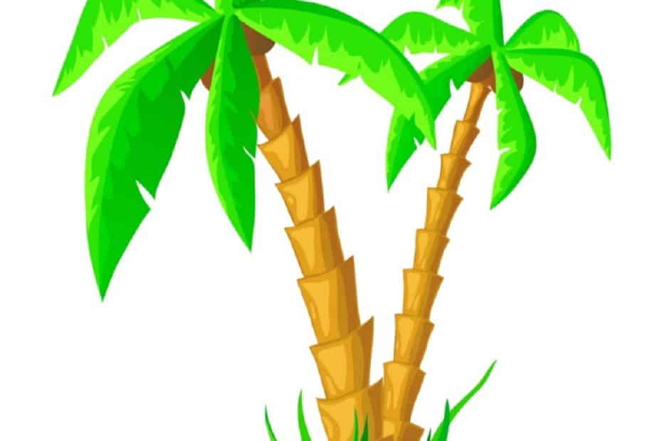 cartoon coconut trees