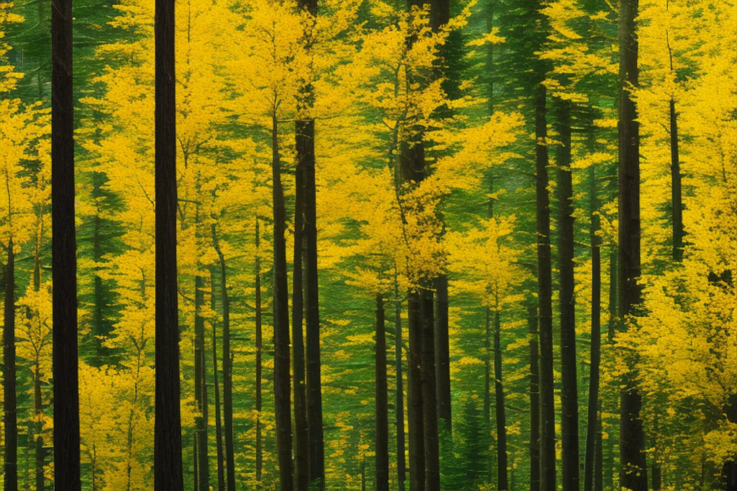 The Beauty of Larch Trees: Exploring Their Unique Characteristics